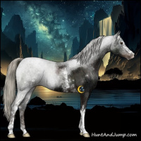 Horse Color:White Spotted Liver Chestnut Ice Mushroom Sabino 