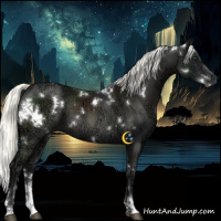 Horse Color:White Spotted Liver Chestnut Ice Mushroom Sabino 