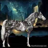 Horse Color:White Spotted Liver Chestnut Ice Mushroom 