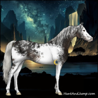 Horse Color:White Spotted Liver Chestnut Ice Mushroom 