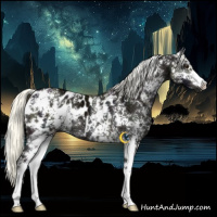 Horse Color:White Spotted Midnight Liver Red Dun Ice Mushroom Appaloosa 
