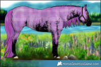 Horse Color:Void Watercolor Plaid  White Spotted Liver Red Dun Rabicano 