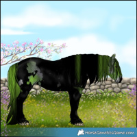 Horse Color:Void Watercolor White Spotted Liver Red Onyx Tobiano 