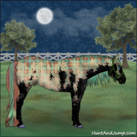 Horse Color:Void Watercolor Plaid  White Spotted Liver Red Dun Splash Brindle 