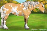 Horse Color:White Spotted Silver Buckskin 