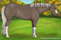 Horse Color:Silver Black 