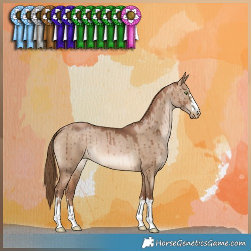 Horse Color:Brown Pearl Dun Brindle