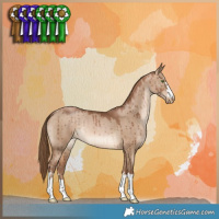 Horse Color:Brown Pearl Dun Brindle 