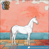 Horse Color:Liver Red Dun Appaloosa 