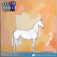 Horse Color:Cremello Dun Near Leopard Brindle 