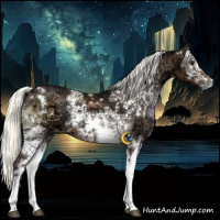 Horse Color:White Spotted Liver Red Onyx Ice Mushroom 