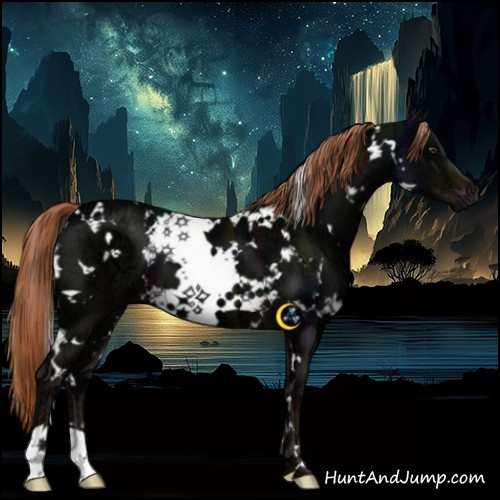 Horse Color:White Spotted Midnight Liver Chestnut Ice