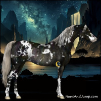 Horse Color:White Spotted Midnight Chocolate Palomino Ice Mushroom Sabino Rabicano