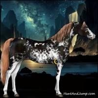 Horse Color:White Spotted Midnight Liver Chestnut Ice 