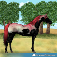 Horse Color:Void Watercolor White Spotted Liver Red Dun Onyx Sabino Splash 