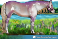 Horse Color:Watercolor White Spotted Liver Red Onyx Sabino Rabicano