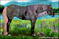 Horse Color:Void Watercolor Chocolate Palomino Ice Roan Dun Splash 