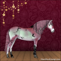 Horse Color:Void Watercolor White Spotted Chocolate Palomino Onyx Tobiano