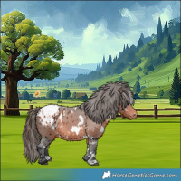Horse Color:White Spotted Bay Blanket 