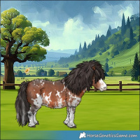 Horse Color:White Spotted Bay 