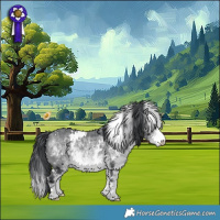 Horse Color:White Spotted Bay Chinchilla 