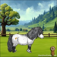 Horse Color:White Spotted Bay Chinchilla Appaloosa