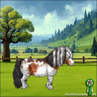 Horse Color:White Spotted Bay 