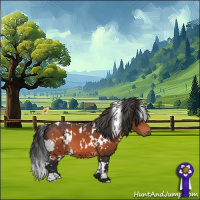 Horse Color:White Spotted Bay 