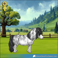 Horse Color:White Spotted Bay Chinchilla 