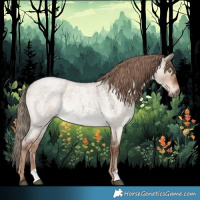 Horse Color:Liver Red Dun Roan Rabicano