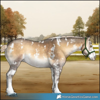 Horse Color:White Spotted Chocolate Palomino Onyx Mushroom Sabino Rabicano 