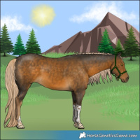 Horse Color:Chocolate Palomino Mushroom Sabino Tobiano