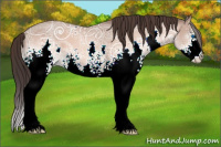 Horse Color:White Spotted Sable Champagne Ice Splash 