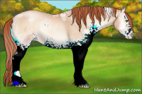 Horse Color:White Spotted Classic Champagne Pearl Onyx