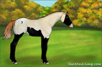 Horse Color:Brown Ice Pearl Dun Splash Appaloosa 