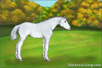 Horse Color:Watercolor Silver Bay Ice Onyx Sabino Appaloosa 