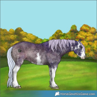 Horse Color:Watercolor Silver Blue Onyx Ice Sabino
