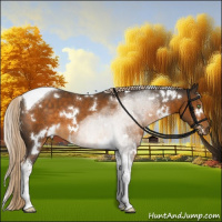 Horse Color:White Spotted Chocolate Palomino Tobiano 
