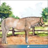 Horse Color:White Spotted Chocolate Palomino Pearl Sabino Rabicano