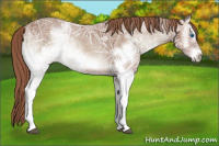 Horse Color:White Spotted Red Onyx Ice Frame 