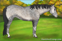 Horse Color:Blue Onyx Ice 