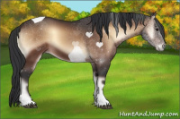 Horse Color:Brown Onyx Tobiano 