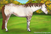 Horse Color:Red Onyx Ice 