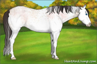 Horse Color:White Spotted Sable Champagne Ice Dun Splash 