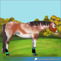 Horse Color:ERROR: UNKNOWN ANOMALY