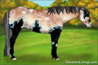 Horse Color:White Spotted Bay Ice Onyx 