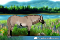 Horse Color:Void White Spotted Liver Red Dun 