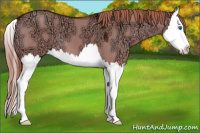 Horse Color:Liver Red Dun Ice Splash 