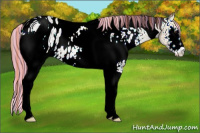 Horse Color:ERROR: UNKNOWN ANOMALY