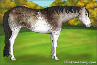 Horse Color:White Spotted Liver Red Onyx Ice